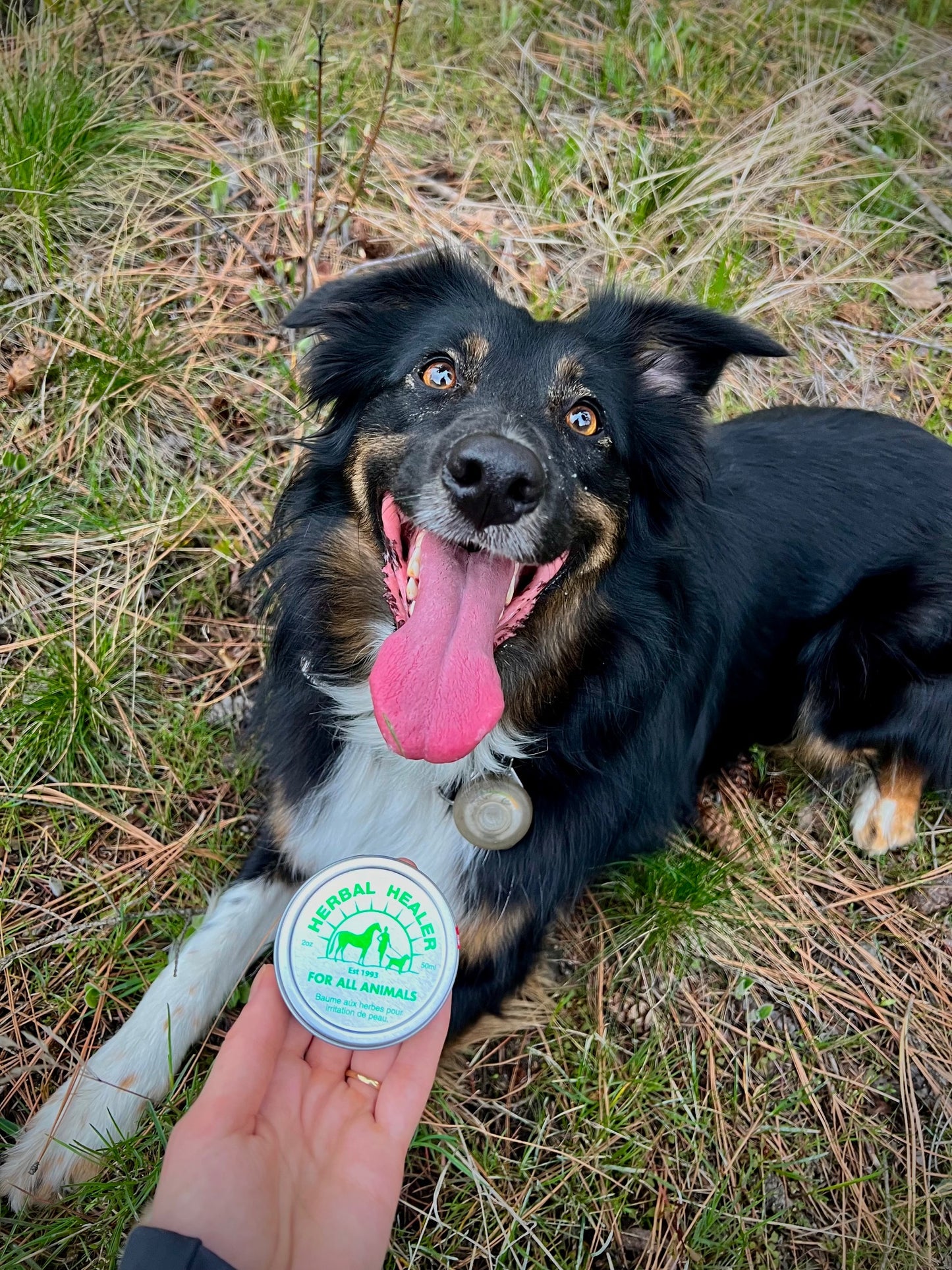 Herbal Healer for All Animals