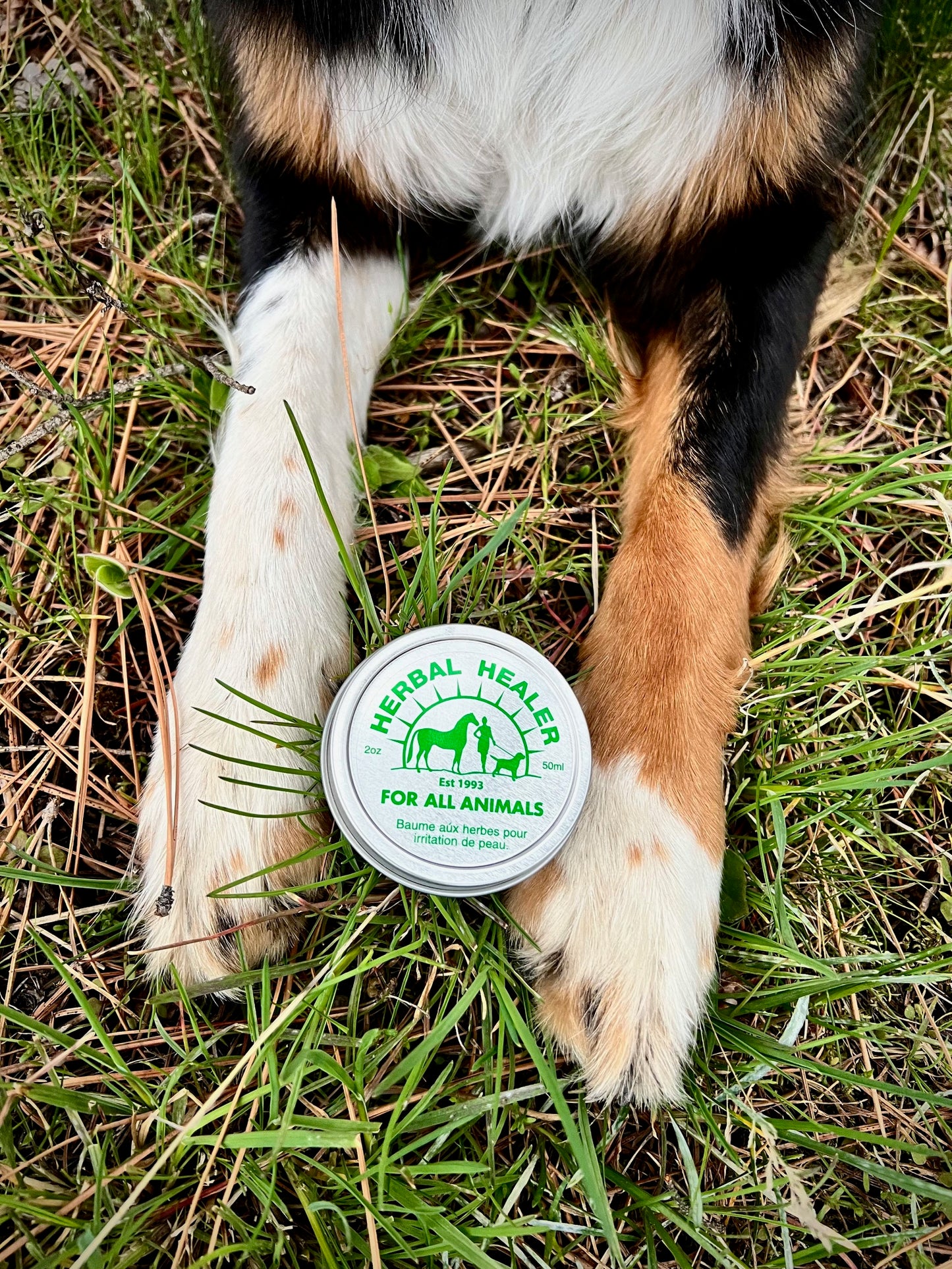 Herbal Healer for All Animals
